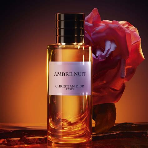 ambre parfum dior|dior night ambre nuit.